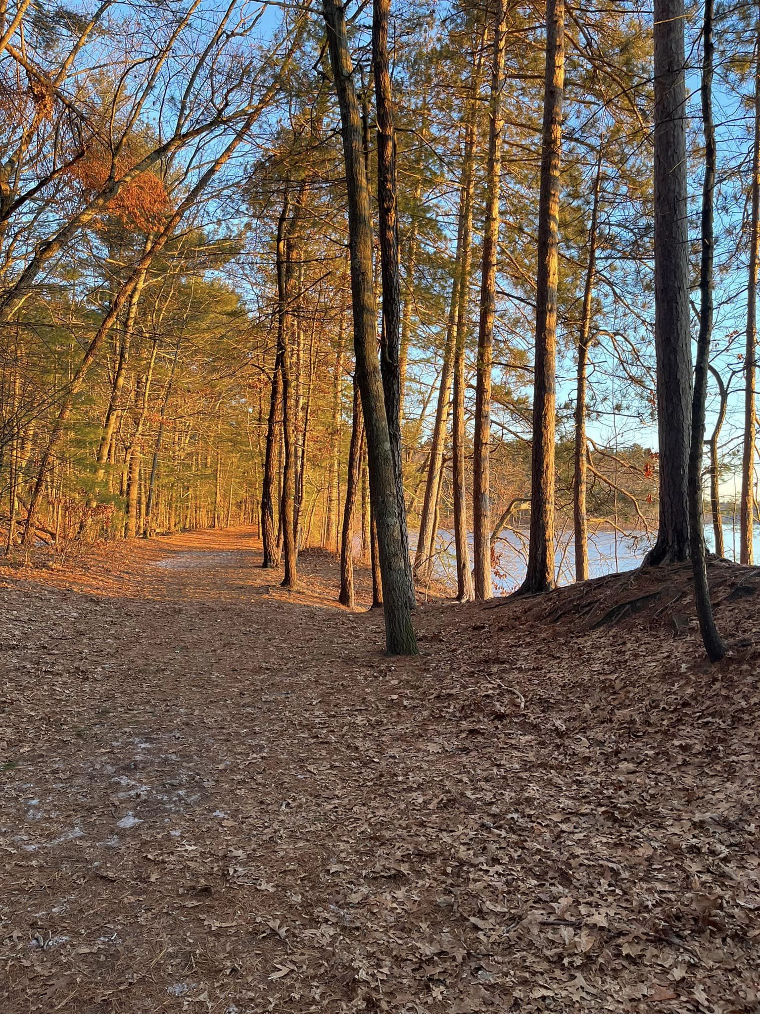 Haggetts Pond trail at sunset