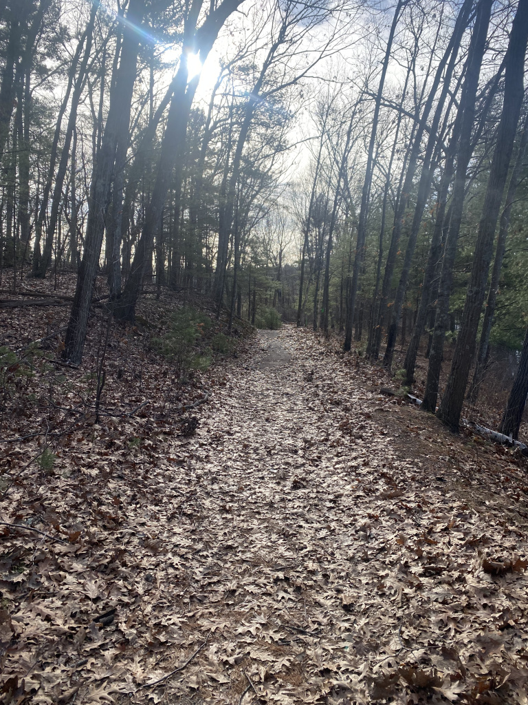 Pomps Pond wide trail width